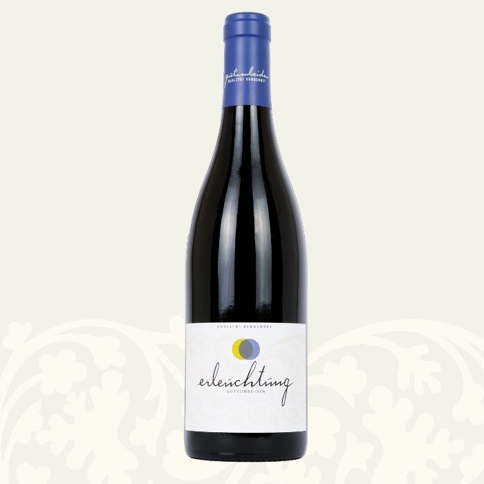 2023 ERLEUCHTUNG trocken – Weingut Philipp Müller | Pfalz | BIO