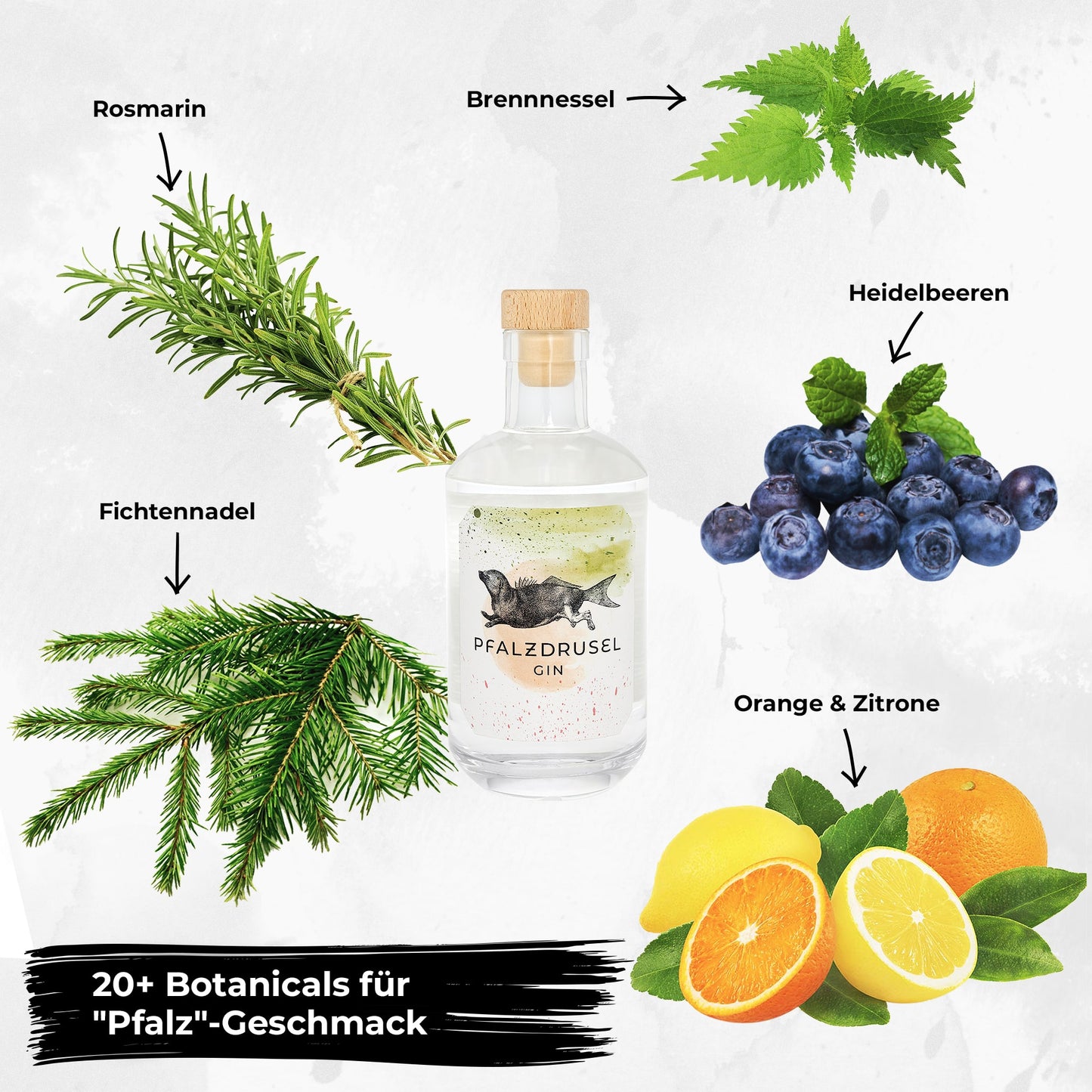 Pfalzdrusel Bio Gin 0,2L